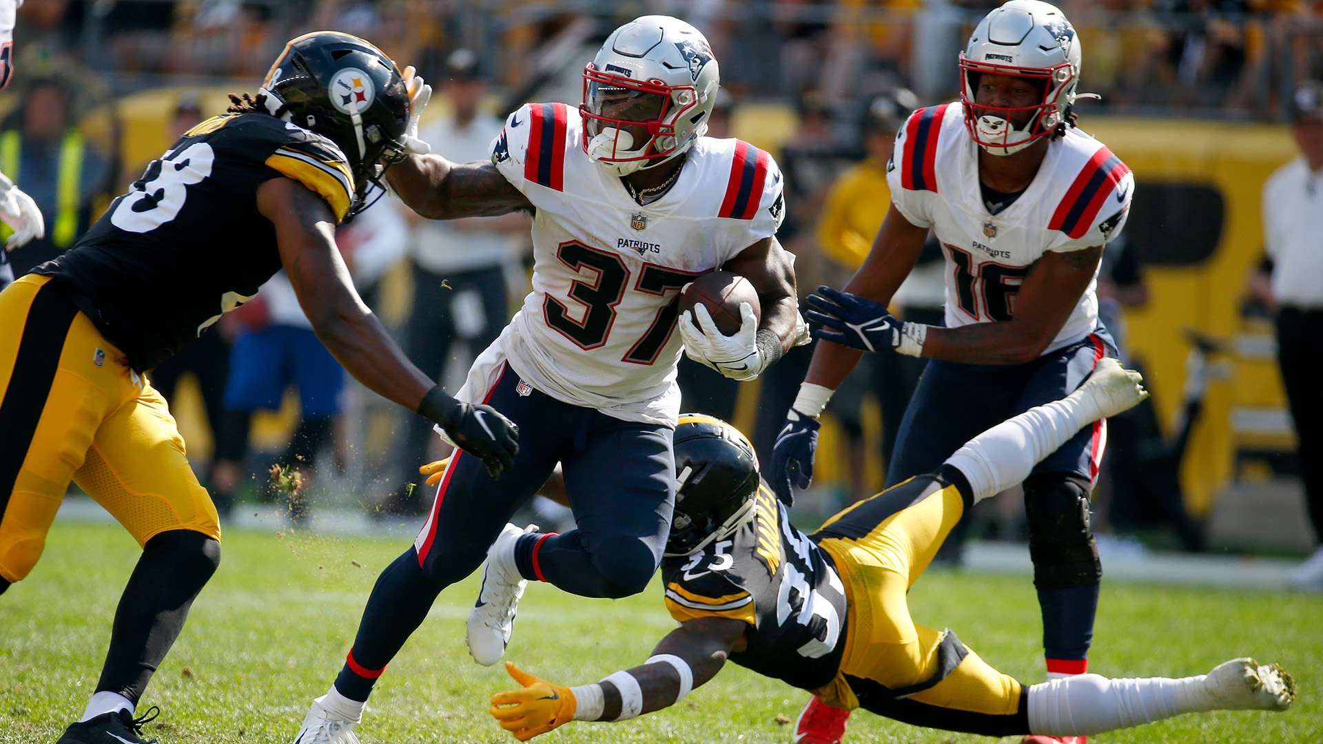 球迷的呐喊 球迷的呐喊