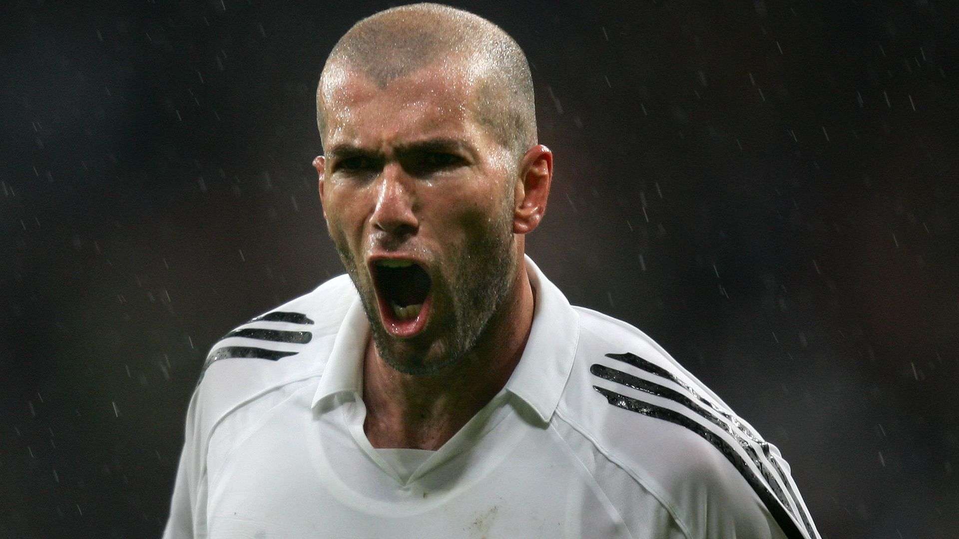 年轻的他在 年轻的他在