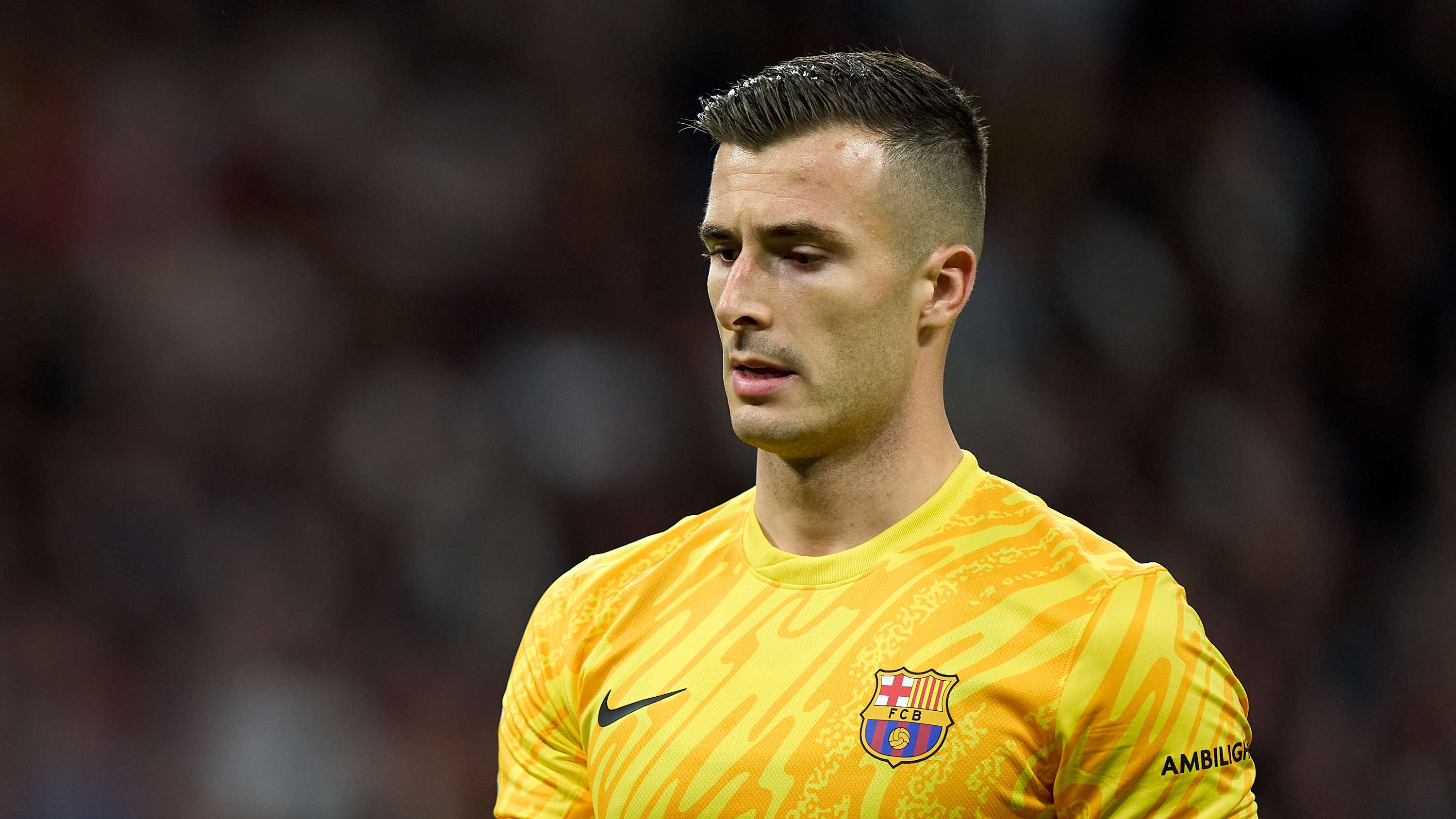 威尔谢尔也 威尔谢尔也