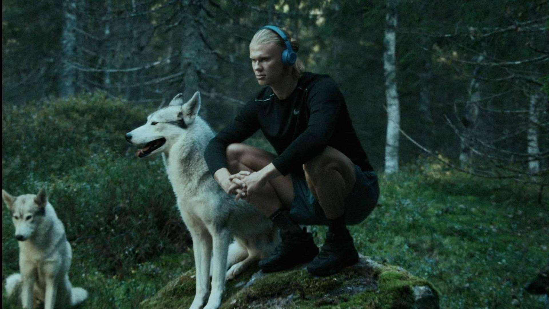 欧洲杯决赛德国与意大利激烈角逐巅峰对决引发球迷热情共振